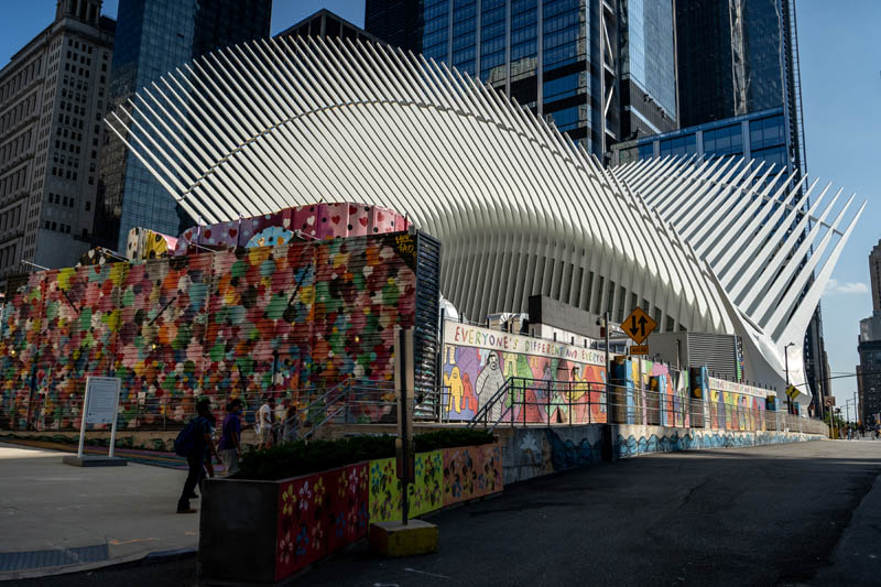 ვლადიმირ ბადიკოვი, &bdquo;ამერიკის ხმა&ldquo;