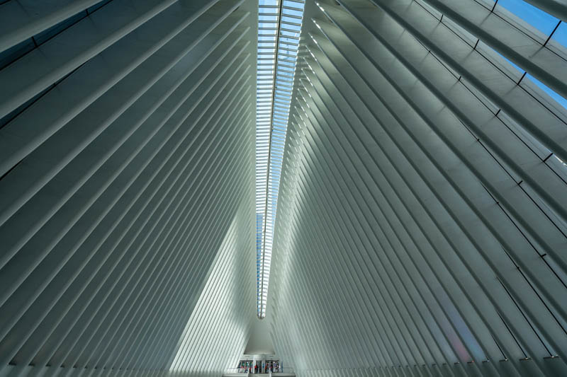 ვლადიმირ ბადიკოვი, &bdquo;ამერიკის ხმა&ldquo;