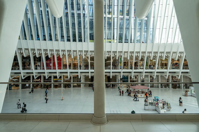 ვლადიმირ ბადიკოვი, &bdquo;ამერიკის ხმა&ldquo;